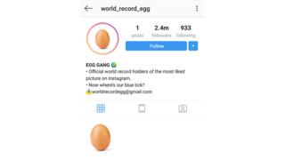 The egg's profile on Instagram