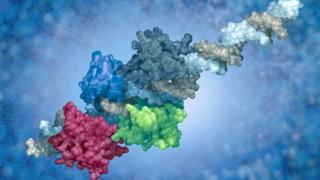 Complejo proteínico de ADN