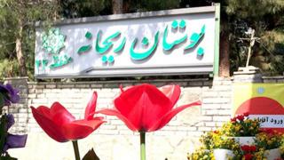 زنان