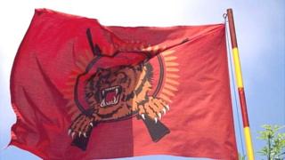 தமிழீழ விடுதலை புலிகள் அமை்பபின் கொடி