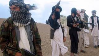 Members of the Taliban