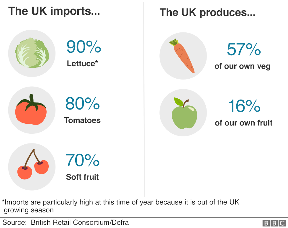 Infographic showing goods imported from the EU and produced in the UK