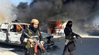 Combattants de l'Etat islamique