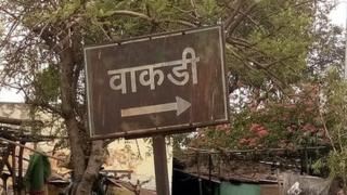 वाकडी गाव