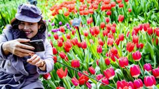 Lalelerle fotoğraf çektiren turist