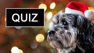 Christmas quiz