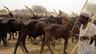 Fulani herdsmen