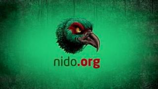 Nido.org