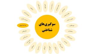 سوگیریهای شناختی؛ ادراک گزینشی