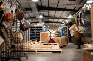 Sarah Metzer moving a large box while in the foreground are turtle shells and dead fish