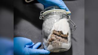 A human brain in a mason jar being held by someone with latex gloves