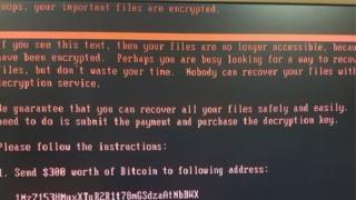 VIRUS