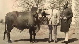 સાંઢ સાથે ભાવનગરના મહારાજા