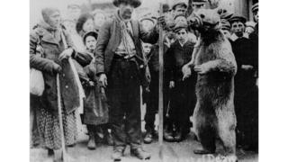 Performing bear