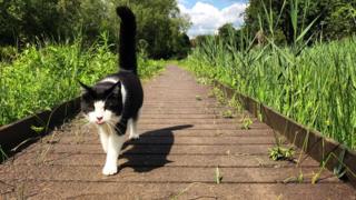 Lye Valley Nature Reserve
