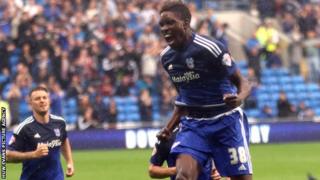 Sammy Ameobi