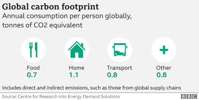 how to reduce carbon footprint essay