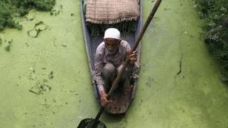 कश्मीर
