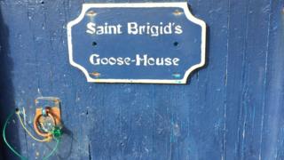 Goose house door