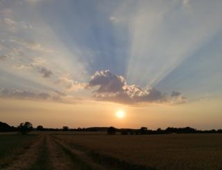 Sunset over fields