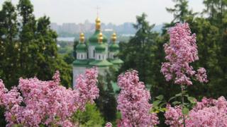 бузок