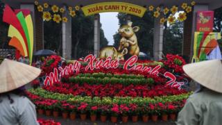 Hình minh họa