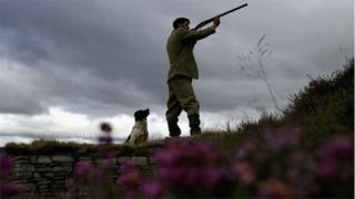 grouse moor