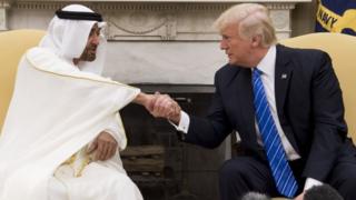 محمد بن زايد وترامب