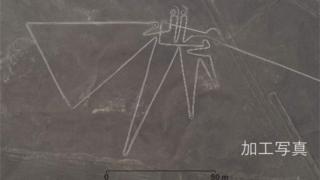 Linhas de nazca