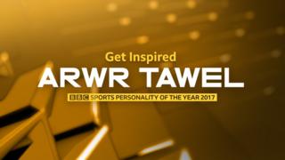 Arwr Tawel 2017 logo