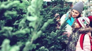 Woman and daughter shopping for Christmas trees