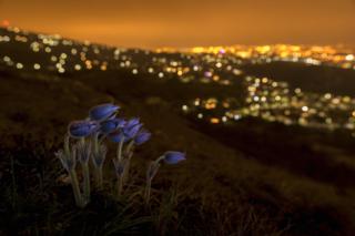 Goodnight, Budapest by Zsolt Varanka