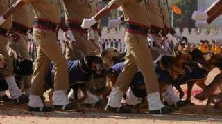 India's Security Forces' Dog Squad marches during the 71st Republic Day celebrations in Bangalore, India, 26 January 2020.