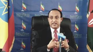 ኣምባሳደር መለስ ኣለም