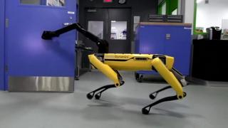 Robot