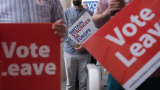 Vote Leave and Britain Stronger In Europe supporters