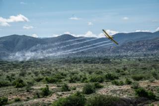 in_pictures A low-flying plane sprays pesticide