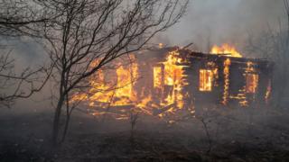 Fires in the Zhytomyr region. Photo