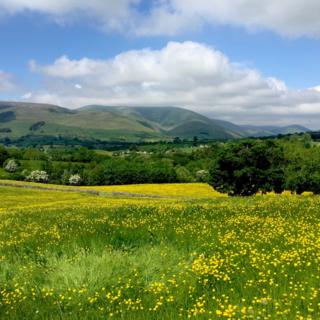 The Howgill Fells in Cumbria