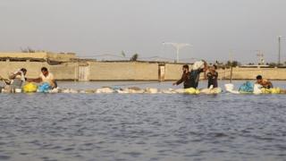 سیل