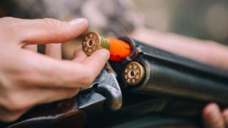Shotgun