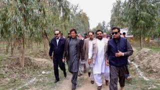 شجر کاری منصوبہ