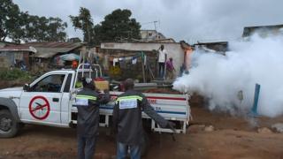 130 cas de Dengue en Côte d'Ivoire