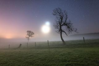 Neblina Binaria de Ainsley Bennett