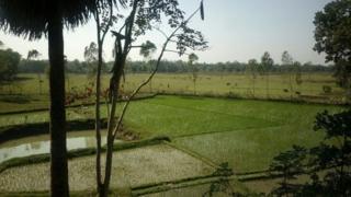 मुहुरीचार इलाका