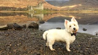 Kilchurn Castle
