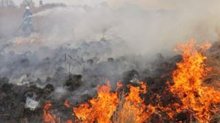 environment Fires in Poland