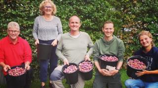 Vergeten Fruit