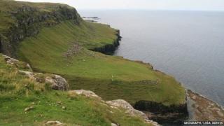 Canaigh