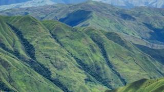 Valles de Aragua.